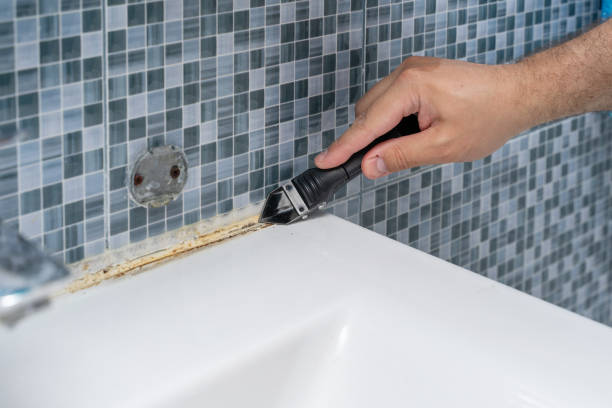 Best DIY Mold Remediation Support Services in Glenmont, MD
